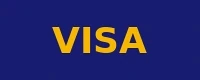 Visa accepted payment method logo at Instaspin